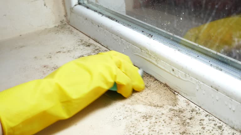 Best Residential Mold Inspection & Testing  in Bloomington, TX